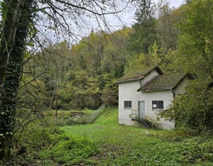 La Creuse et les fontaines autour du fort de Blamont - Blamont - 19