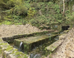 La Creuse et les fontaines autour du fort de Blamont - Blamont - 20