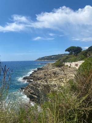 Presqu'île de Cap Ferrat et avant-goût du paradis - Saint-Jean-Cap-Ferrat. - 2