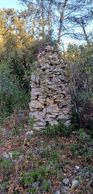 LAGRASSE (11) Onze Lieve Vrouw van Carla - Lagrasse - 14
