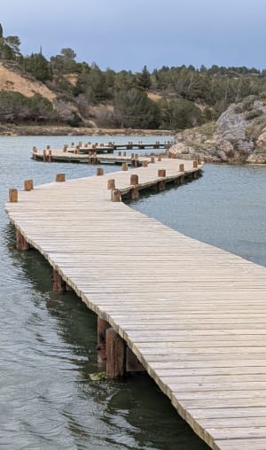 Petite boucle de l'étang du Doull - Peyriac-de-Mer - 5