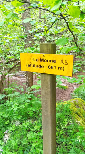 Olloix en stortvloed aan emoties in de kloven van de Monne - Olloix - 45