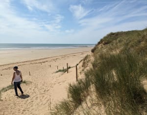 Notre-Dame-de-Monts : virée apaisante de la dune aux marais - Notre-Dame-de-Monts - 2