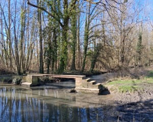 Vers le bois de Ruffin - Coulombs - 3