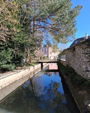 Vers le bois de Ruffin - Coulombs - 6