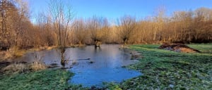Wahagnies les 5 tailles - Wahagnies - 2