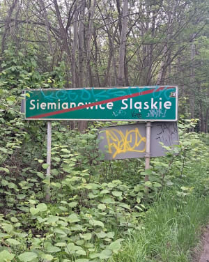 Z Koszutki przez Park Wełnowiecki i Srokowiec - Katowice - 8