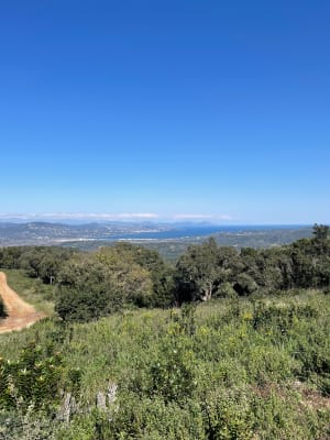 Balade en forêt à Cogolin et panorama sur les massifs locaux - Cogolin - 7