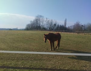 Randonnée dans la vallée de la Montcient - Meulan-en-Yvelines - 4