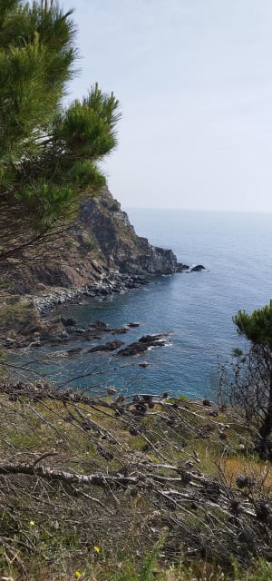 De Collioure à Cadaquès : Jour 2 de Banyuls à Colera - Banyuls-sur-Mer - 9