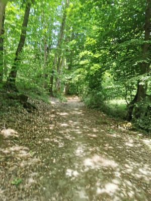 Gif-sur-Yvette entre ville et nature et sur le GR® 655 - Gif-sur-Yvette - 12
