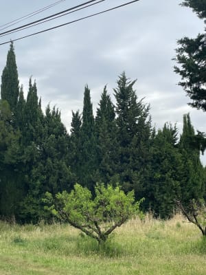 Balade en ceinture verte d'Avignon en VTC - Avignon - 10