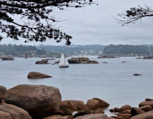 Trégastel et tour de l'île Renote - Trégastel - 53