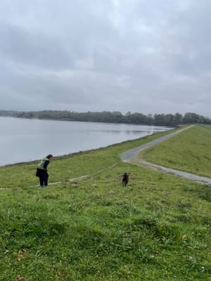 Balade au Lac du Gabas - Gardères - 19