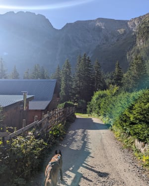 Montée au lac Fourchu depuis le Poursollet - La Morte - 6