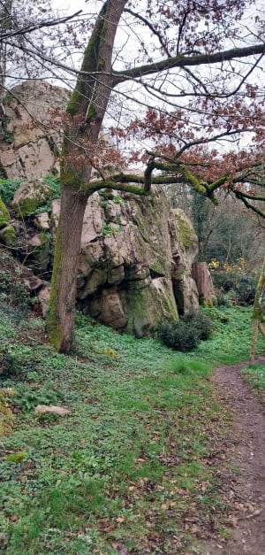Balade nature au départ de Boussay - Boussay - 16