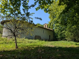 Forêt d'Ustaritz - Ustaritz - 8