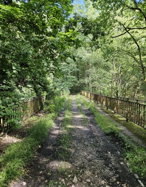 Balade dans le bois d'Aumont et ancienne voie ferrée - Rambouillet - 11