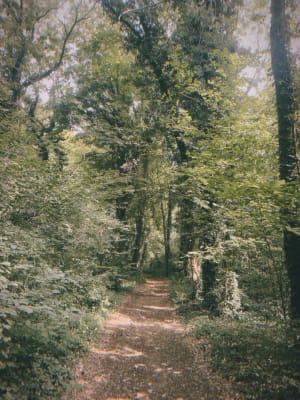 Randonnée tour de Cinqueux - Cinqueux - 4