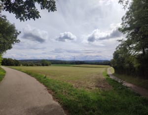 Promenade sur les hauteurs de Morschwiller le bas. - Stéphanie - 8
