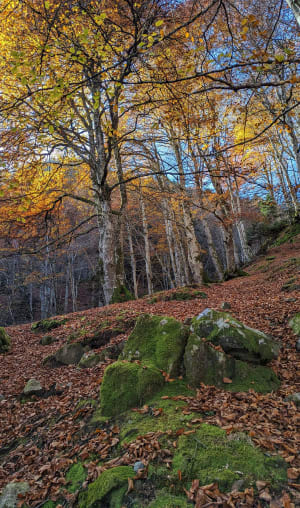 Mystérieux val d'Arizes et sa pétillante cascade - Artigues - 15