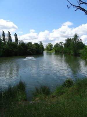 Petite balade entre Croix Daurade et le Lac de Saint-Caprais - Toulouse - 3