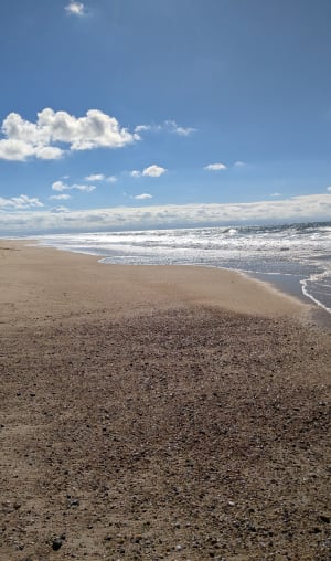 Le Penon et promenade sur le sable les yeux dans l'eau - Le Penon - Seignosse - 9