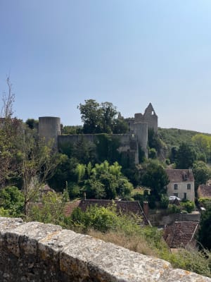 Promenade autour de Angles, l'Anglin - Angles-sur-l'Anglin - 9