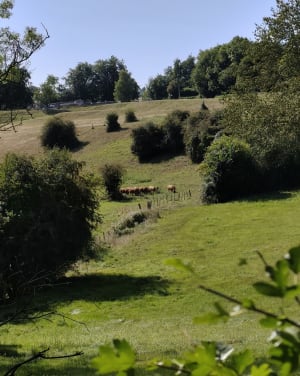 Balade Blain Villaine - Catenay - 5