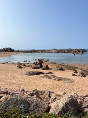Trégastel et tour de l'île Renote - Trégastel - 115