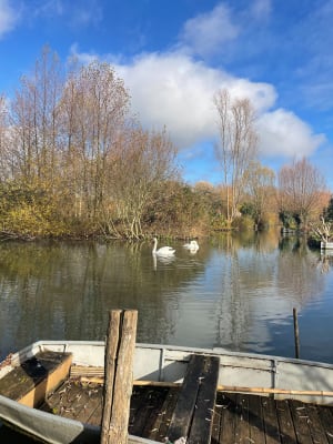 Wandel door de straten van het middeleeuwse Bourges en zijn moerassen - Bourges - 8