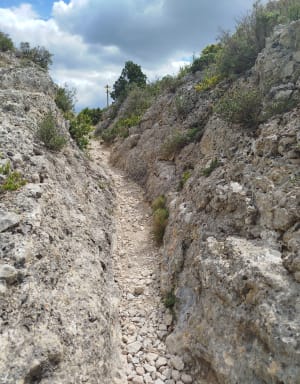 Le Petit Calan - Eygalières - 11