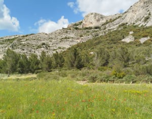 Le Petit Calan - Eygalières - 12