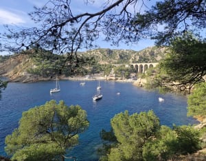 Pointe du Cap de Méjean en Calanque de l'Erevine - Méjean - 13