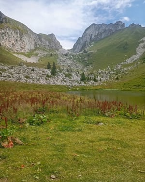 Lac de la Case par Les Chalets d'Oche. - Bernex - 8
