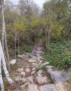 Le Malzieu-Ville et son petit lac - Le Malzieu-Ville - 11