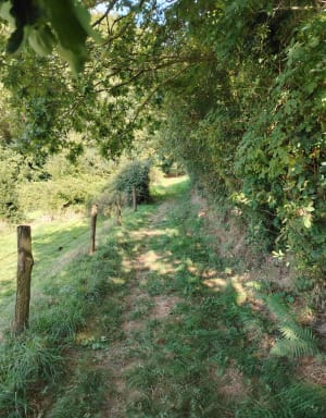 Des étangs de Gravenchon à Toufreville-la-Cable - Port-Jérôme-sur-Seine - 16