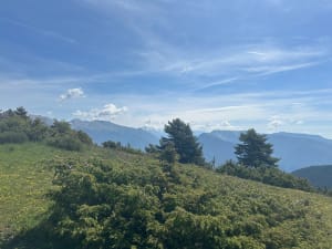 Montée au Lauvet d'Ilonse et alpages immaculés - Ilonse - 3