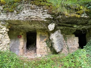 Sentier du Fort de Vaux et renaissance d'une forêt - Damloup - 4