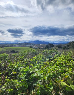 Rando train et patrimoine diversifié dans le Pays Basque - Guéthary - 14