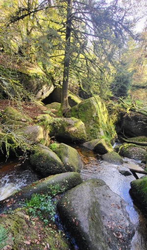 Boucle à Huelgoat la forêt - Huelgoat - 17