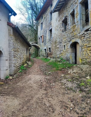 Balanod - l’Aubepin - Saint-Amour - 21