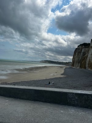 Gorge des Moutiers depuis Varengeville-sur-Mer - Varengeville-sur-Mer - 16