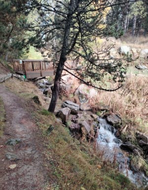 Wandeling van Bolquère naar Font-Romeu via Fornells - Bolquère - 10