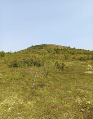 Volcan endormis à Cournon-d'Auvergne et randonnée champêtre - Cournon-d'Auvergne - 15