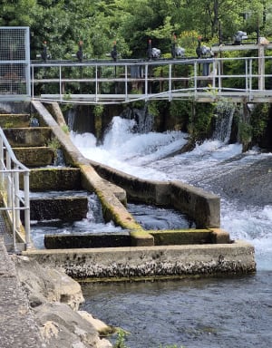 Balade autour de la Fontaine de Vaucluse et son aqueduc - Fontaine-de-Vaucluse - 3