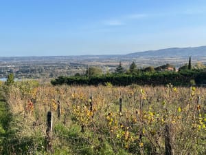 S'attarder devant la chapelle de Buisante et oublier le temps - Frederic - 15