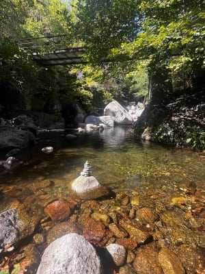 Les gorges de la Borne - Montselgues - 7