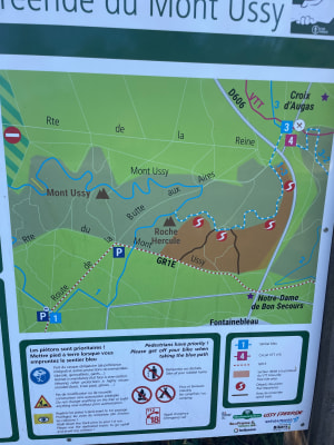 Trail Rocher Hercule - carlos - 5