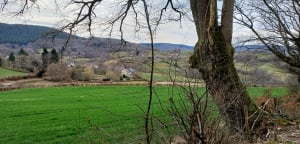 Marche au Parc à daims, Bousson et à la Roche des Fées - Quarré-les-Tombes - 8